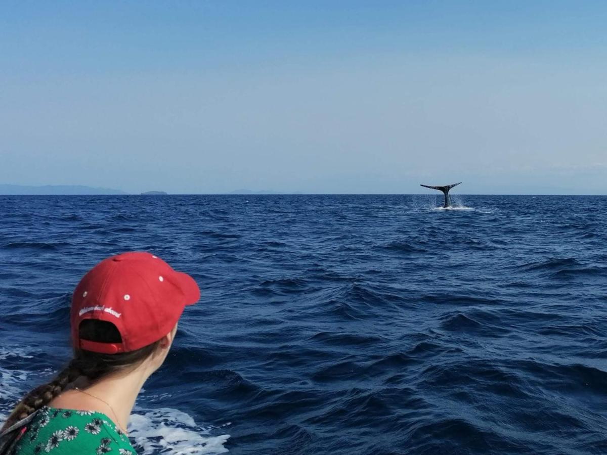 Swisscocobeach Nosy-Be エクステリア 写真